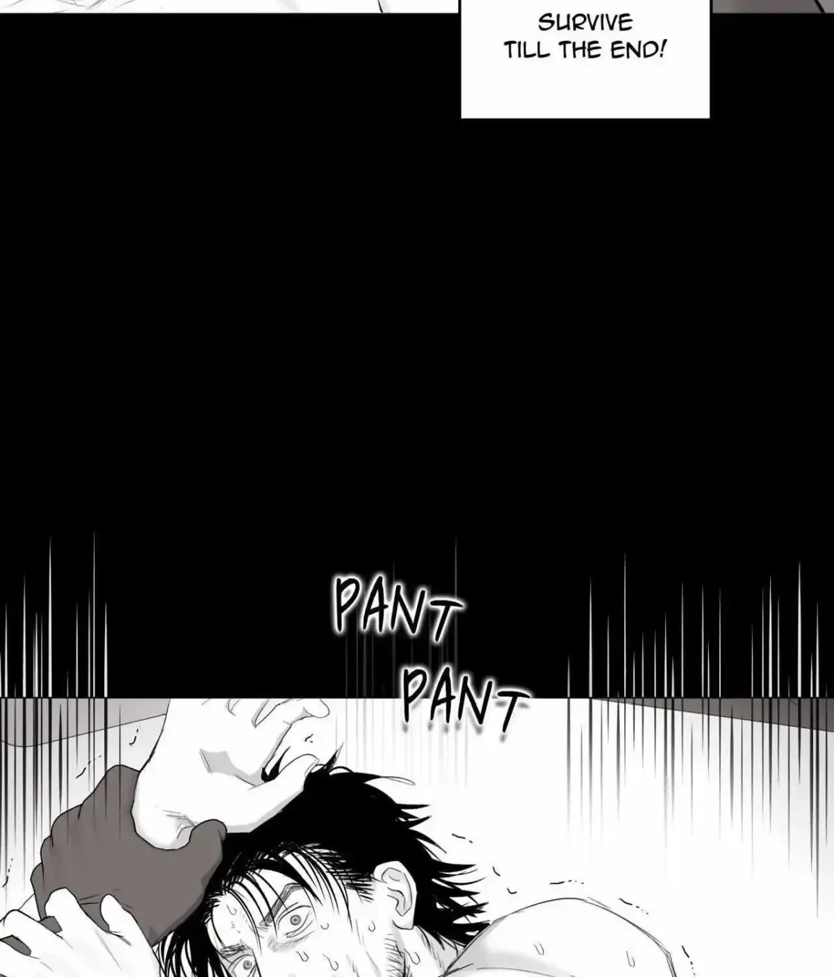 Chapter 4.2, page 43