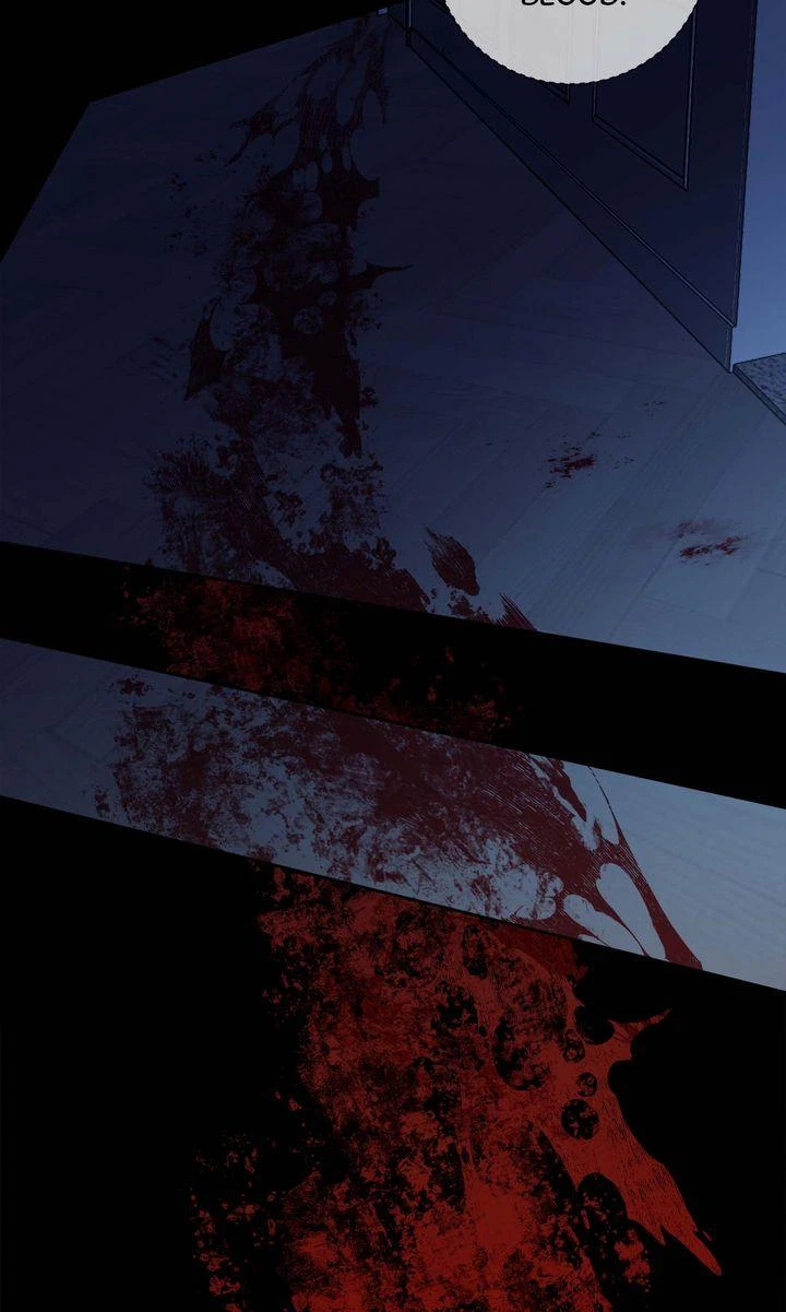Chapter 8, page 102