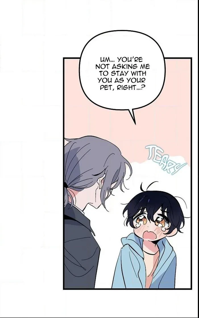 Chapter 17, page 20