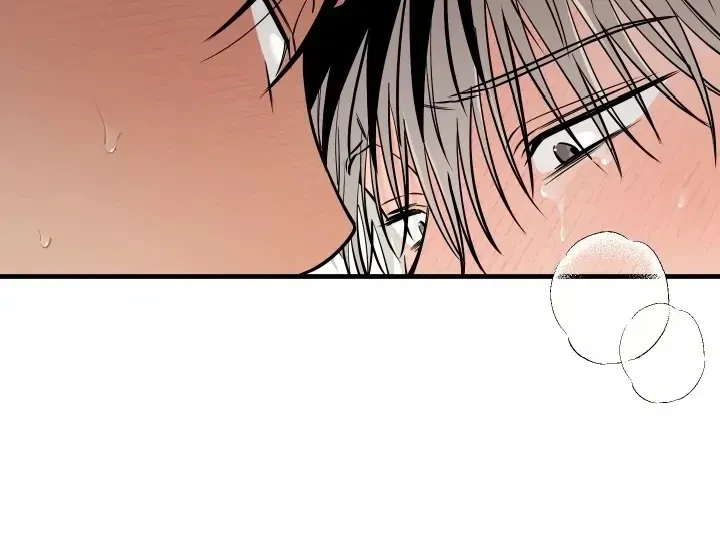 Chapter 7, page 62