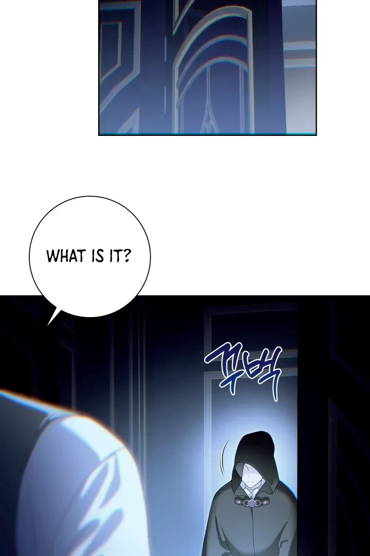 Chapter 2, page 19