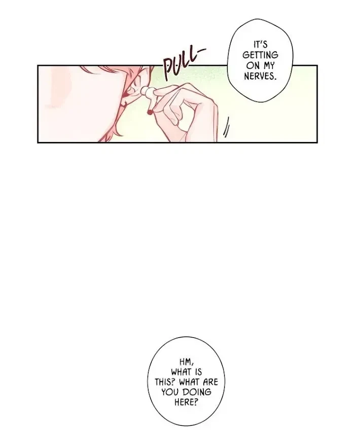 Chapter 3.2, page 24