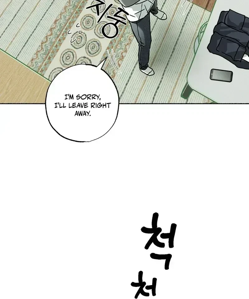 Chapter 3.9, page 47