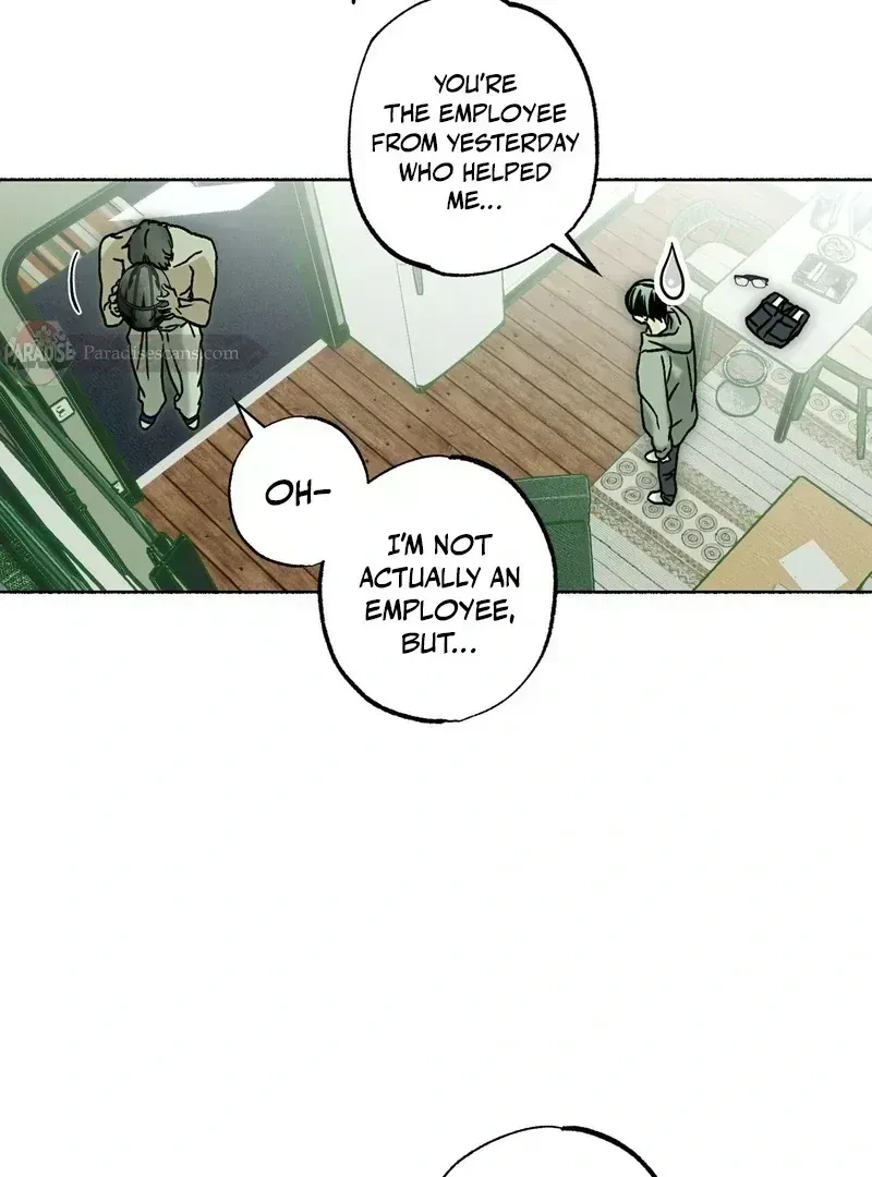Chapter 3.9, page 52