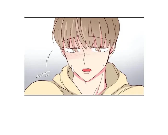 Special, page 20