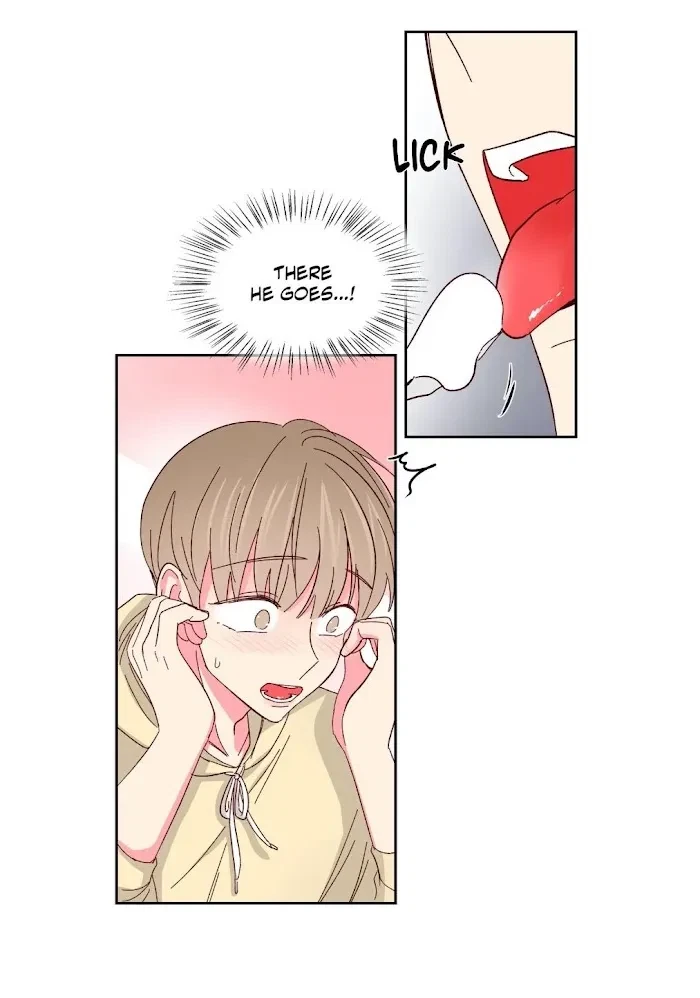 Special, page 33