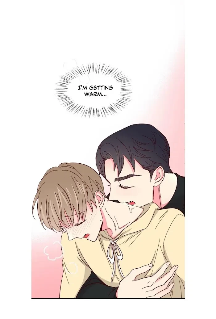 Special, page 36