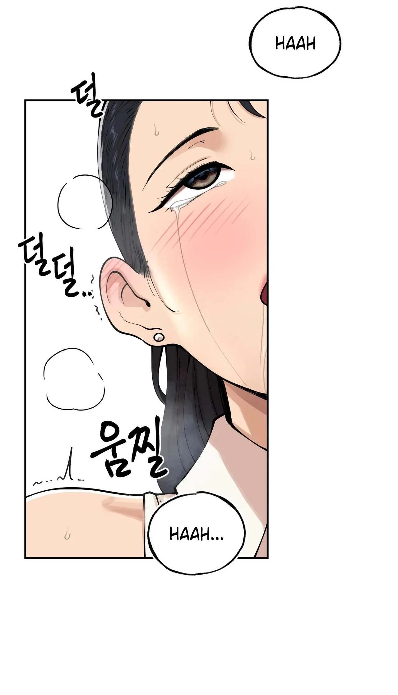 Chapter 3, page 52