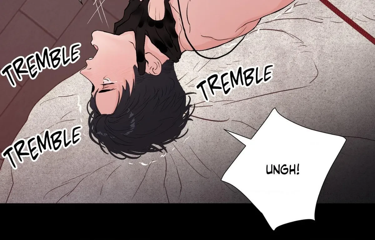 Chapter 1, page 17