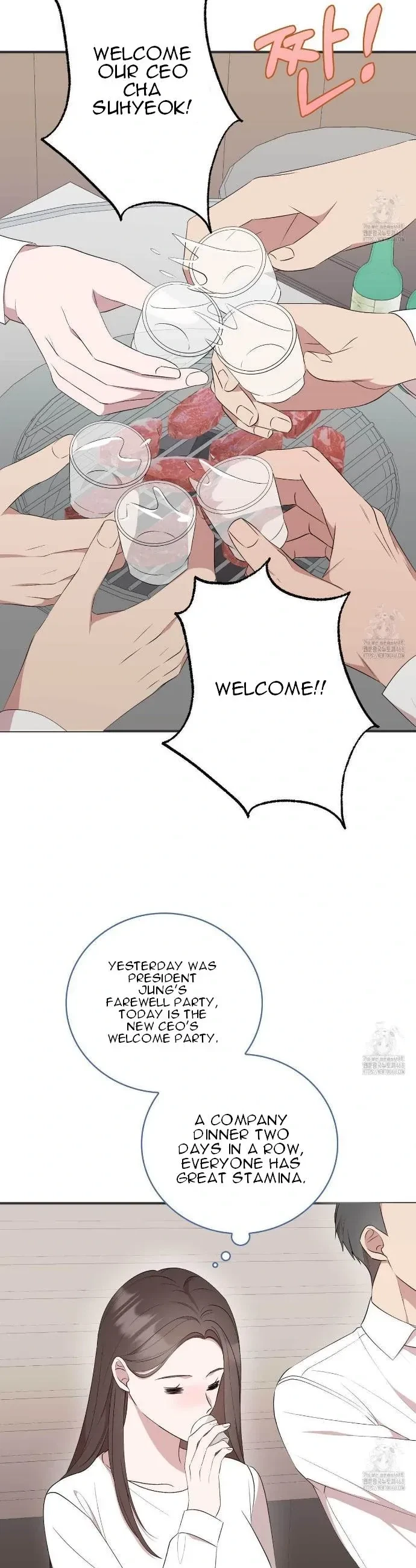 Chapter 3, page 29