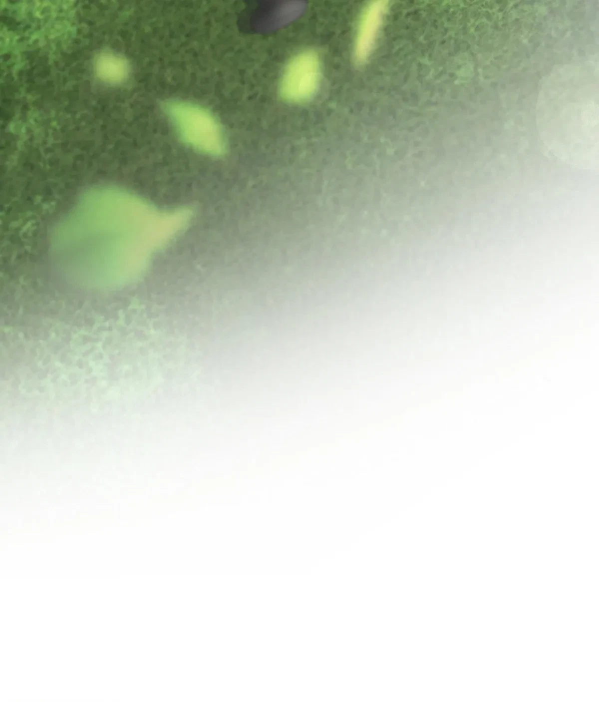 Chapter 10, page 205