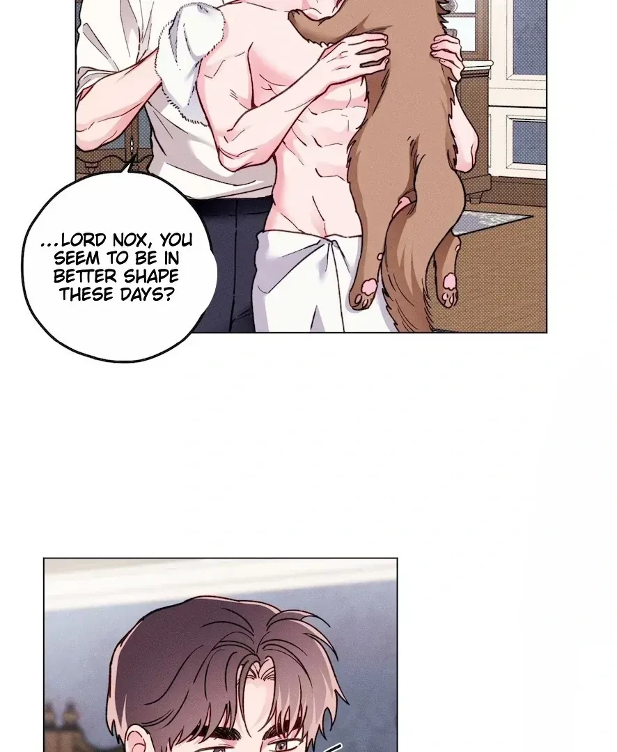 Chapter 4.3, page 19