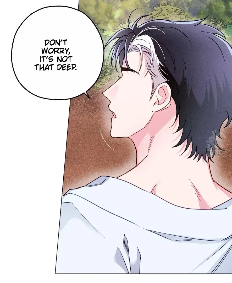 Chapter 4.3, page 4