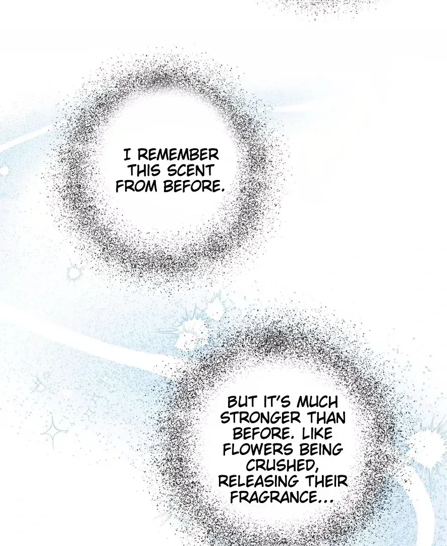 Chapter 4.3, page 40