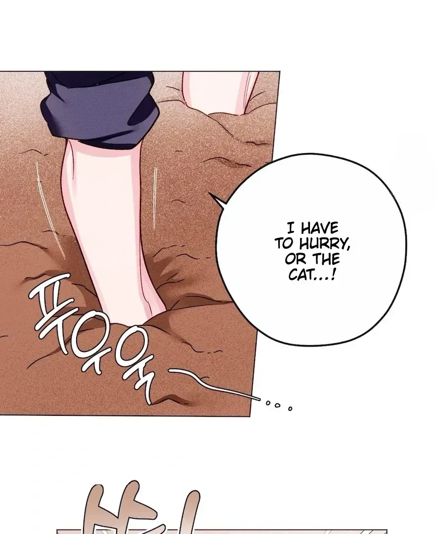 Chapter 4.3, page 5