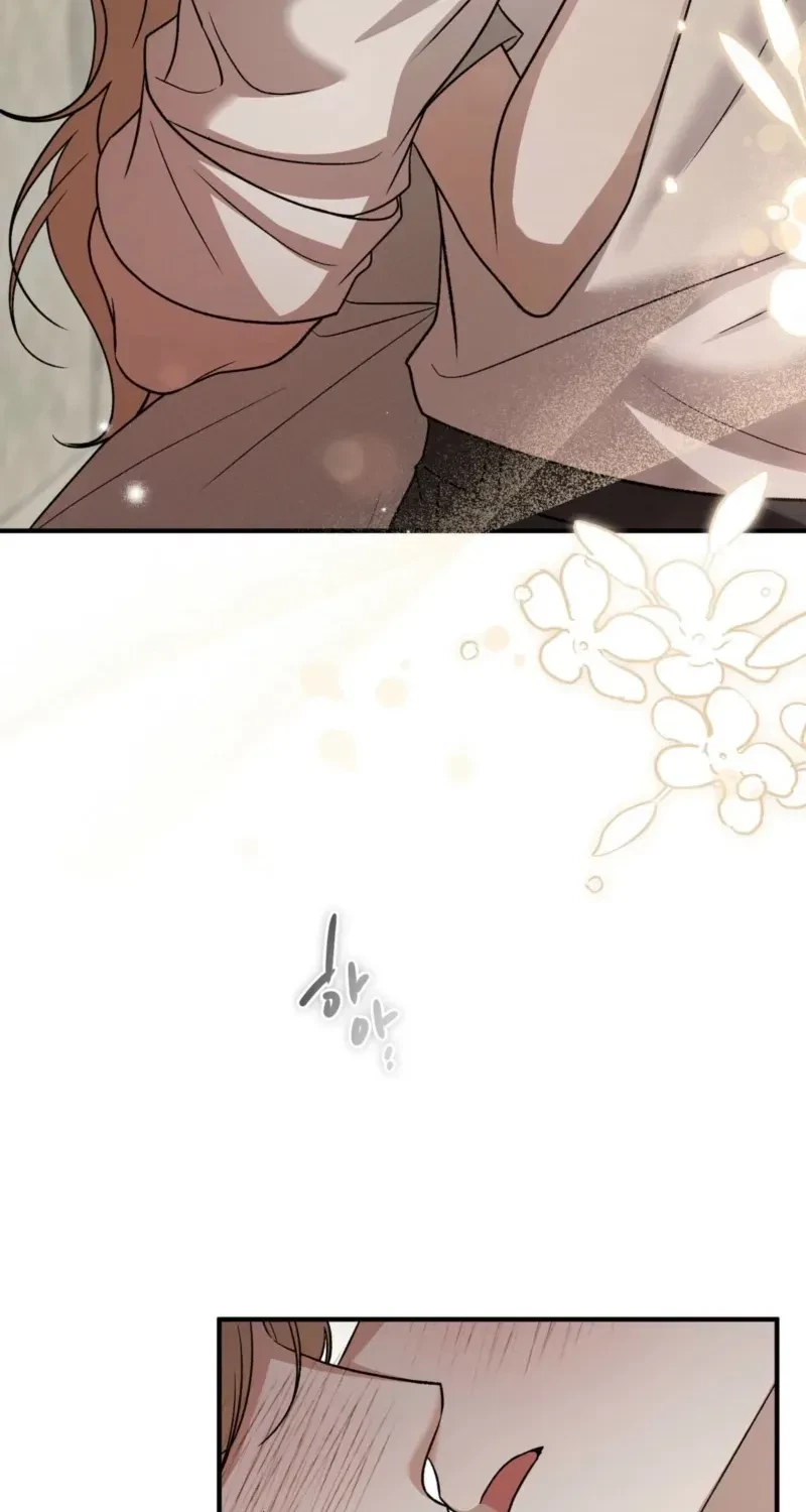 Chapter 5, page 62