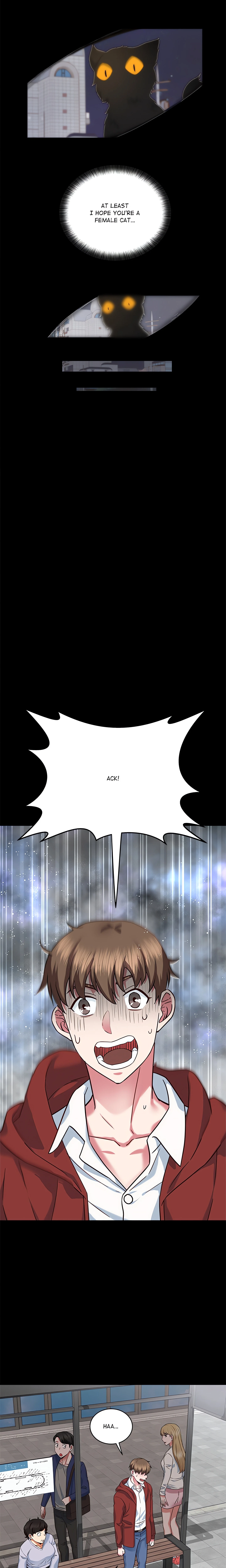 Chapter 1, page 13