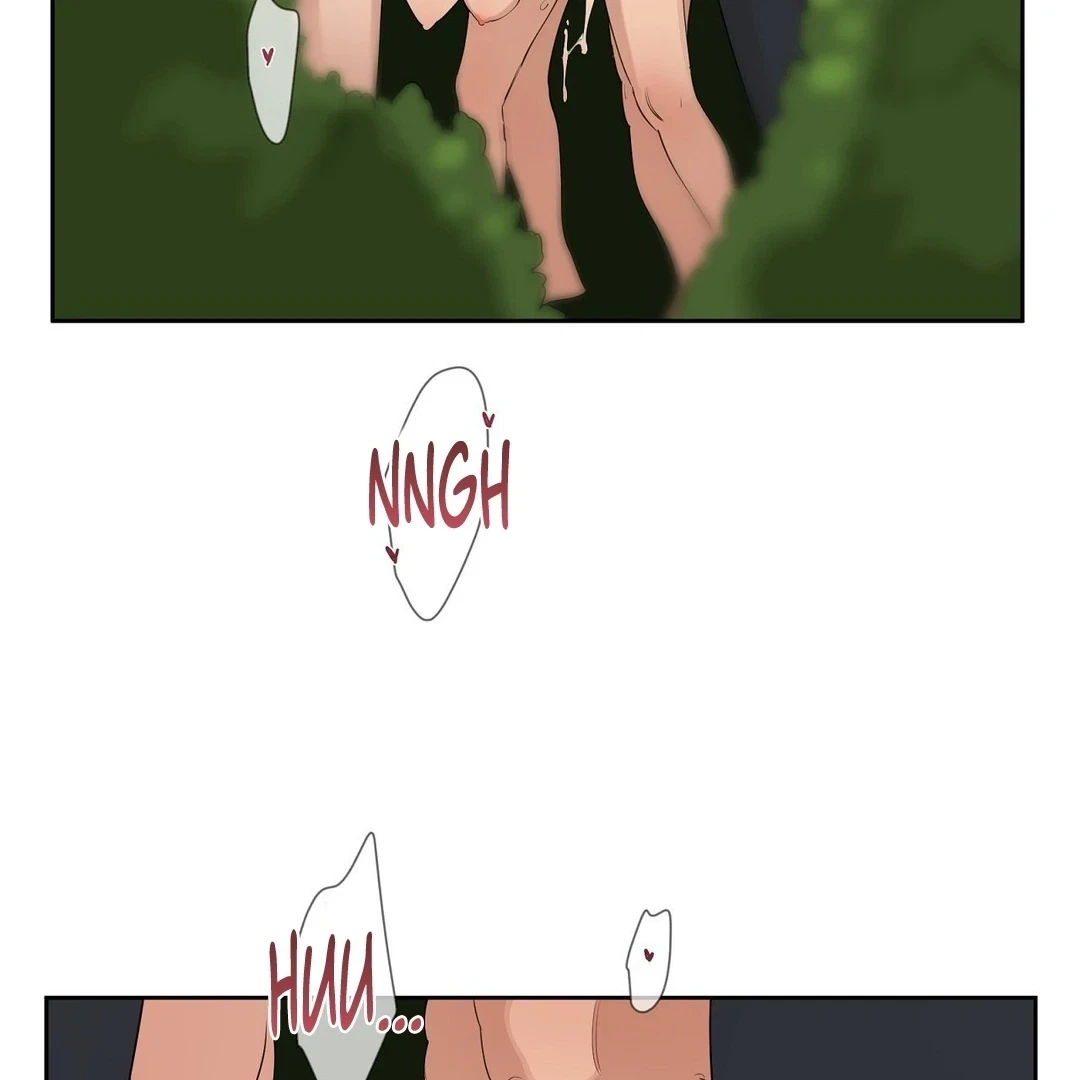Chapter 0.6, page 101