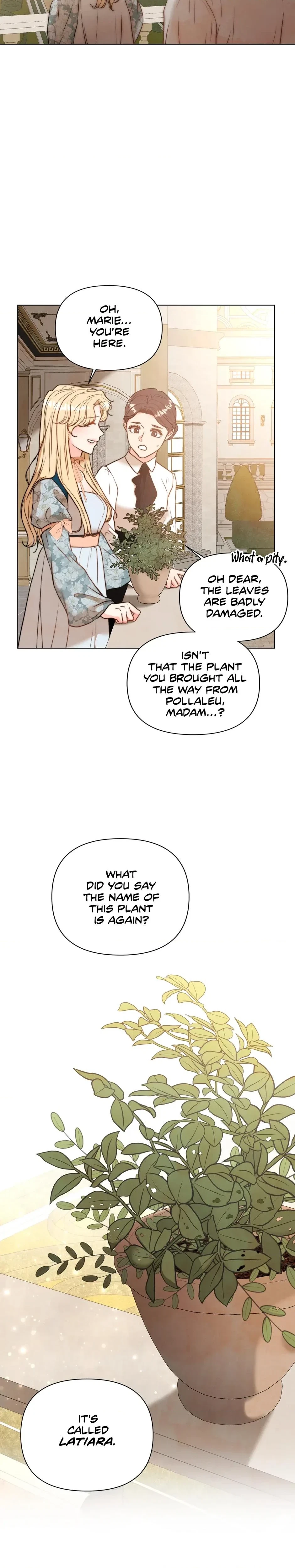 Chapter 2, page 11
