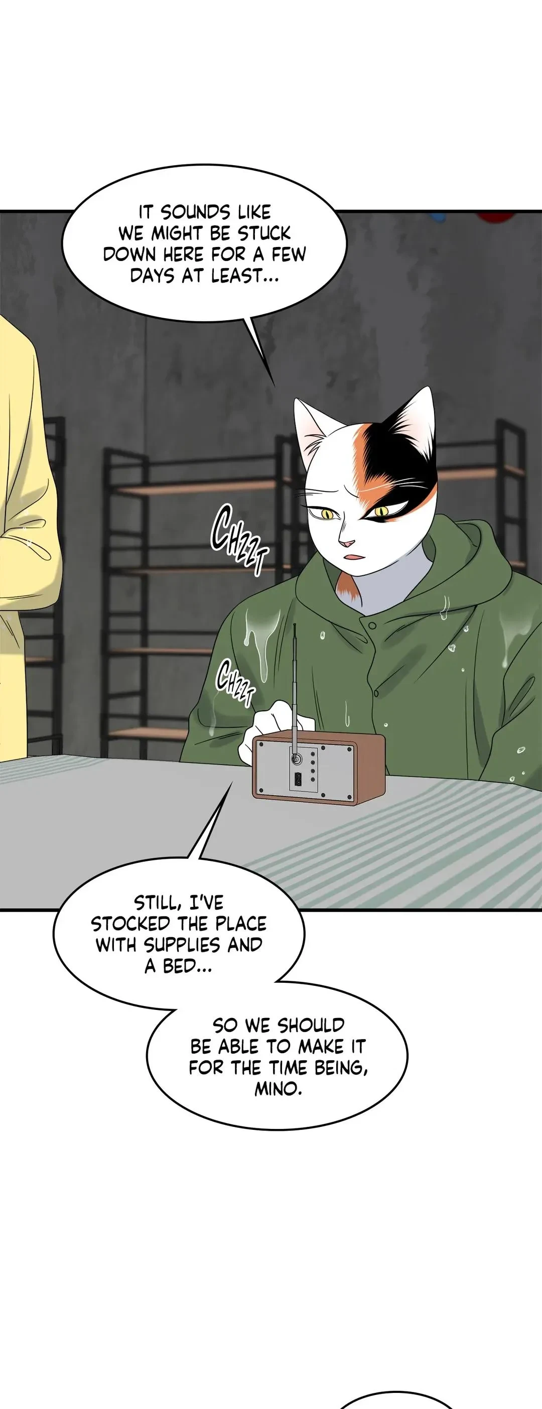Chapter 43, page 43
