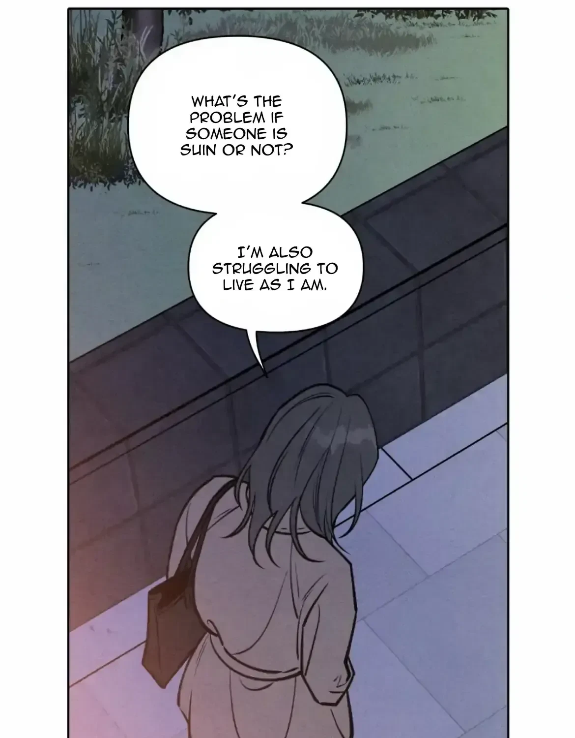 Chapter 1.1, page 19