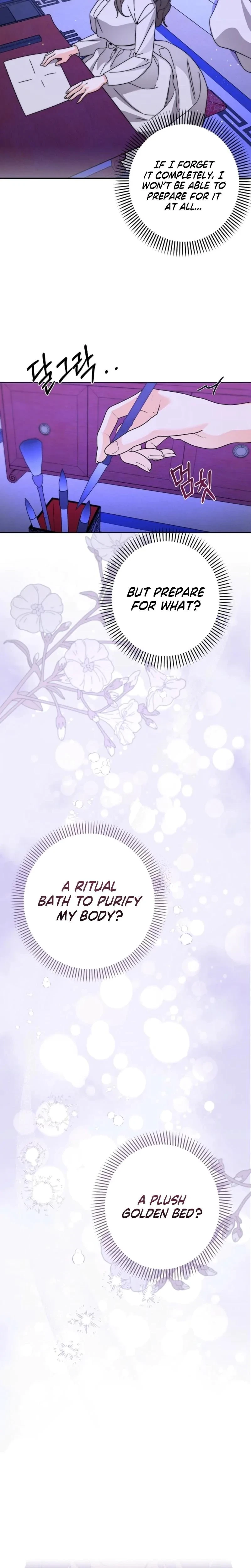 Chapter 1, page 17