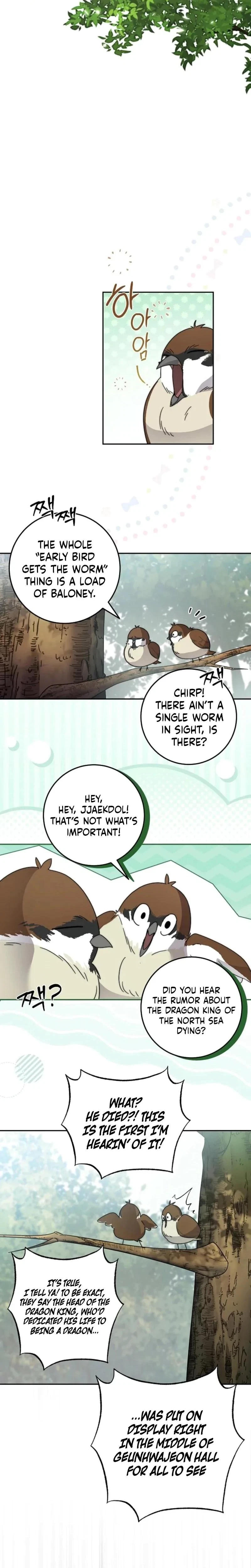 Chapter 1, page 29