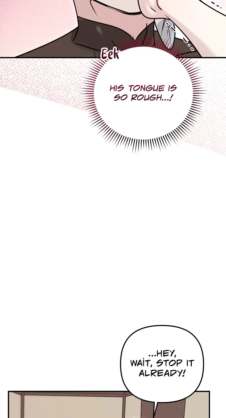 Chapter 4, page 77