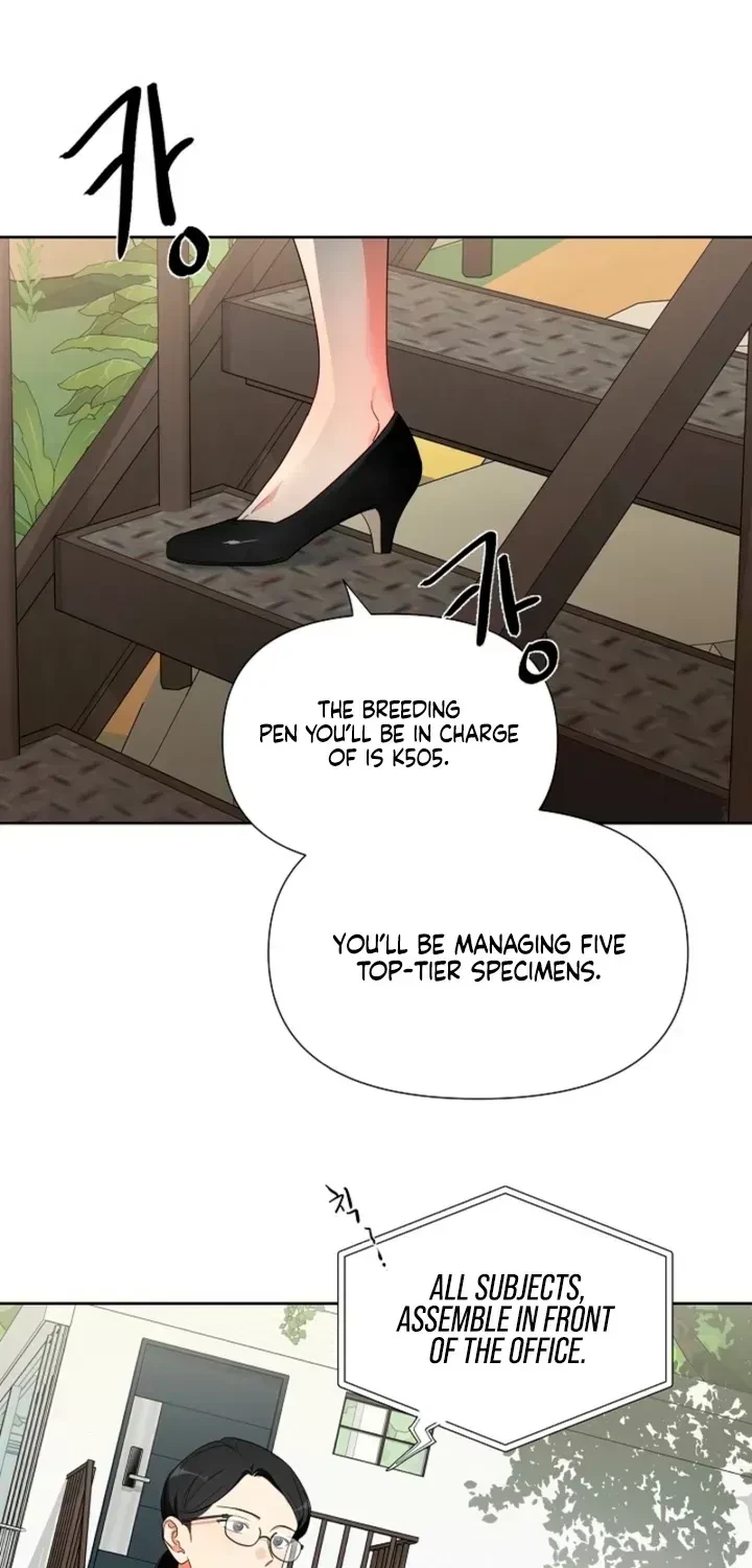 Chapter 1.1, page 23