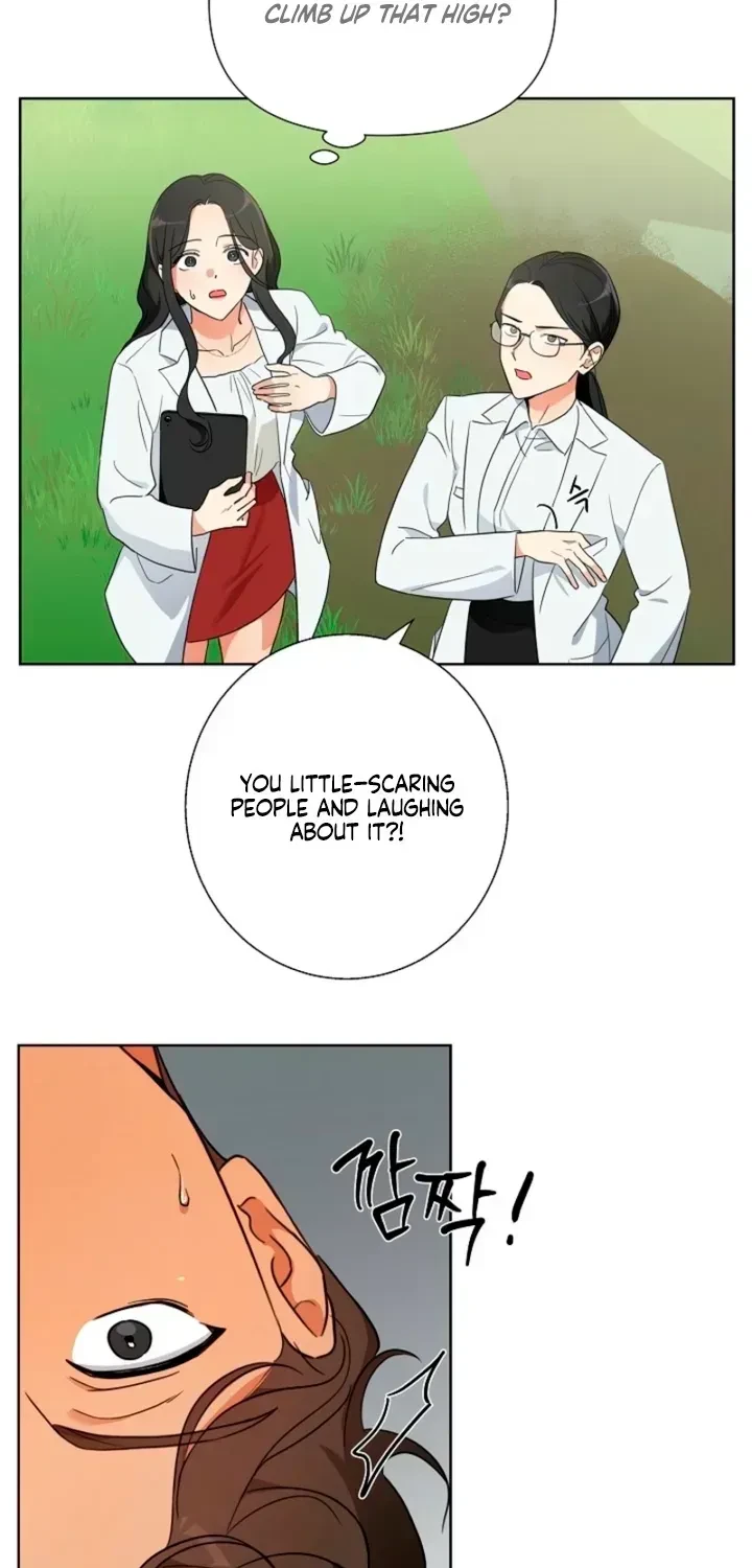 Chapter 1.1, page 29