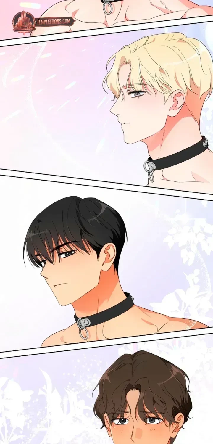 Chapter 1.1, page 37