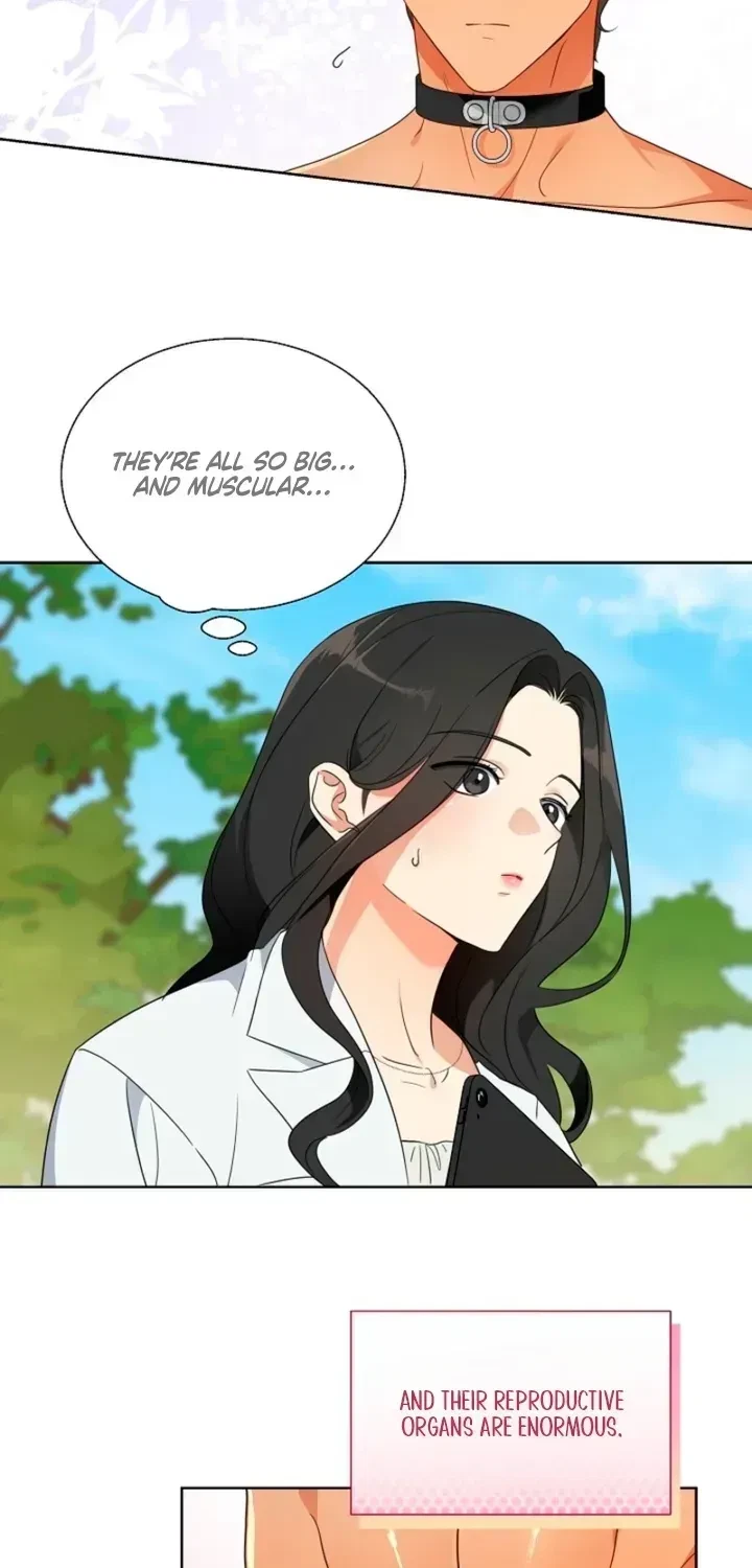 Chapter 1.1, page 38
