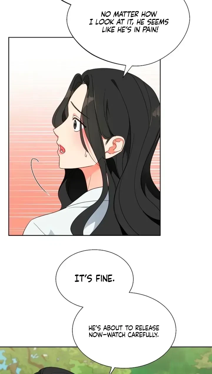 Chapter 1.1, page 52