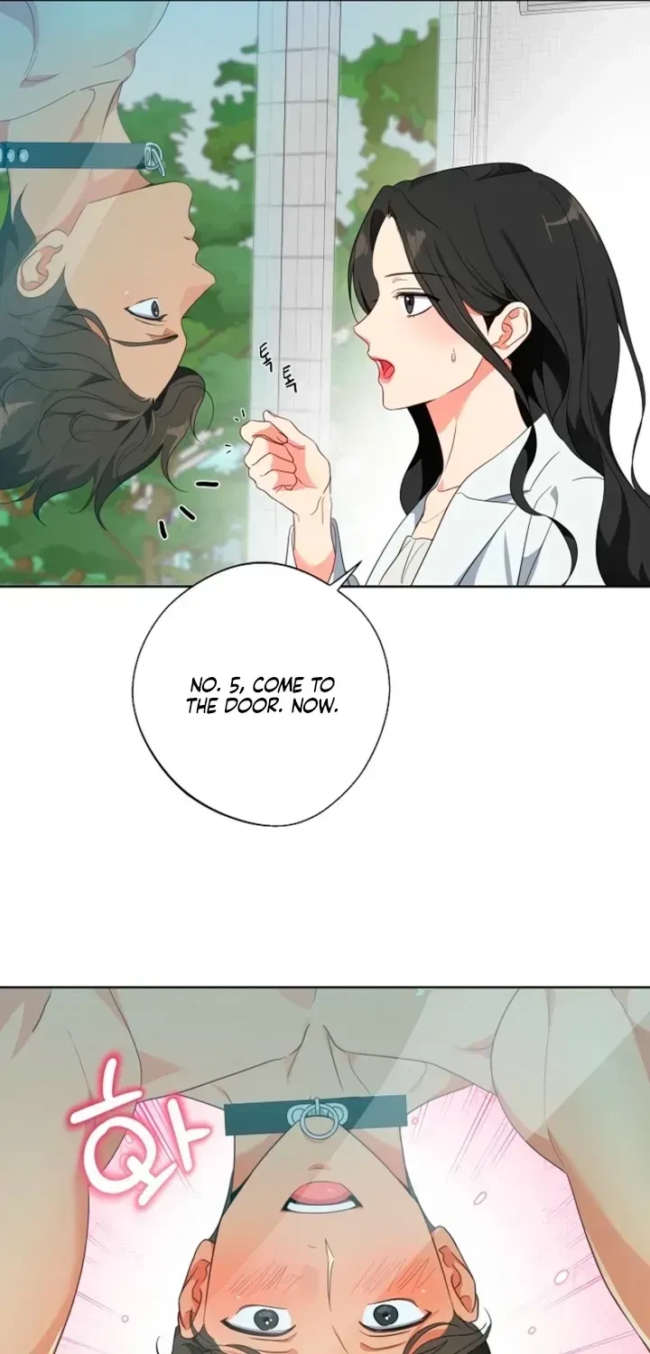 Chapter 1.1, page 65
