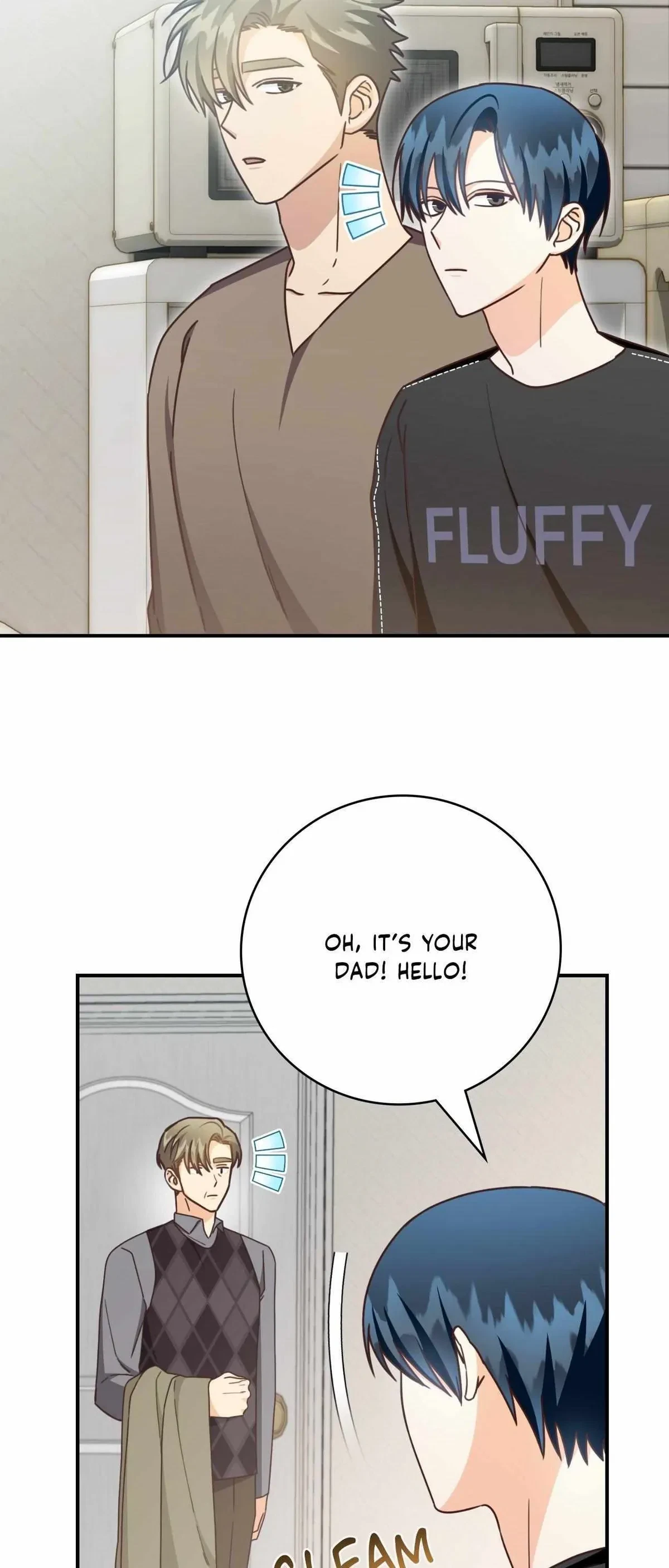Chapter 43.03, page 13