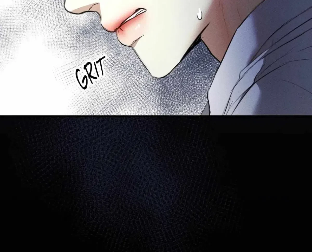 Chapter 1.1, page 17