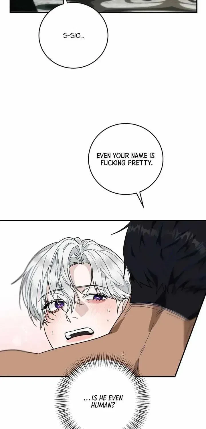Chapter 2.2, page 38