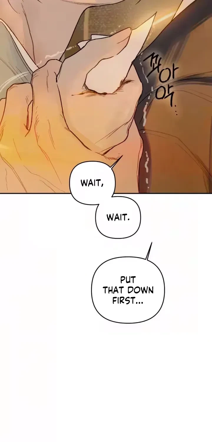 Chapter 4, page 13