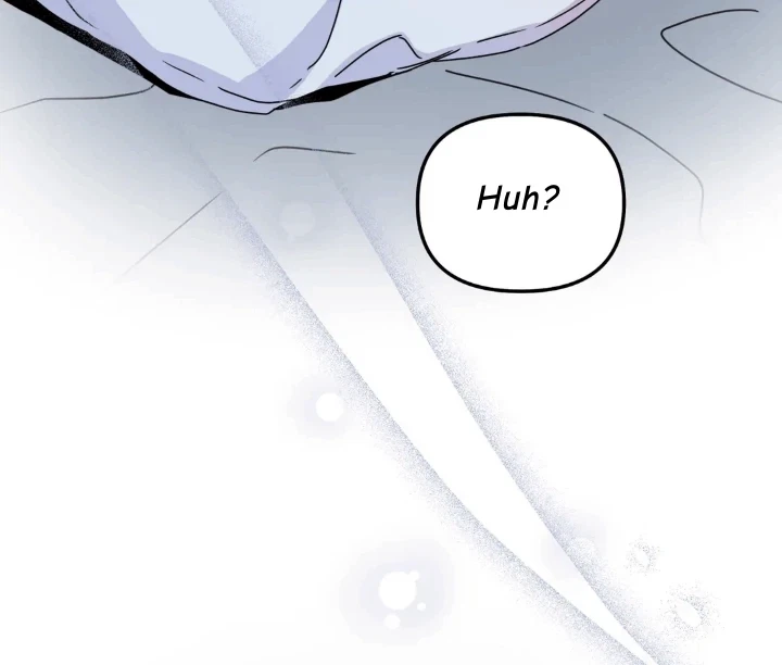 Chapter 0.1, page 13