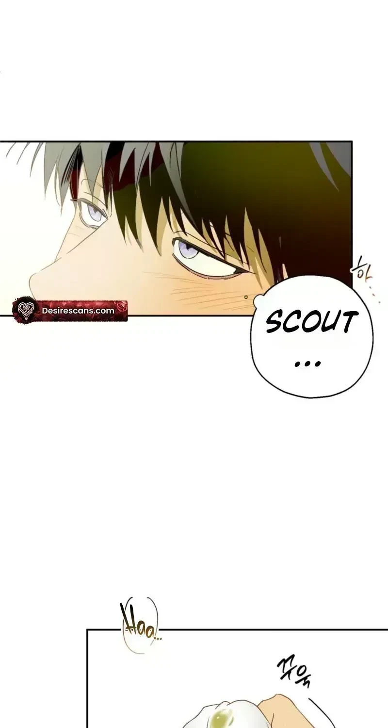 Chapter 2.7, page 55