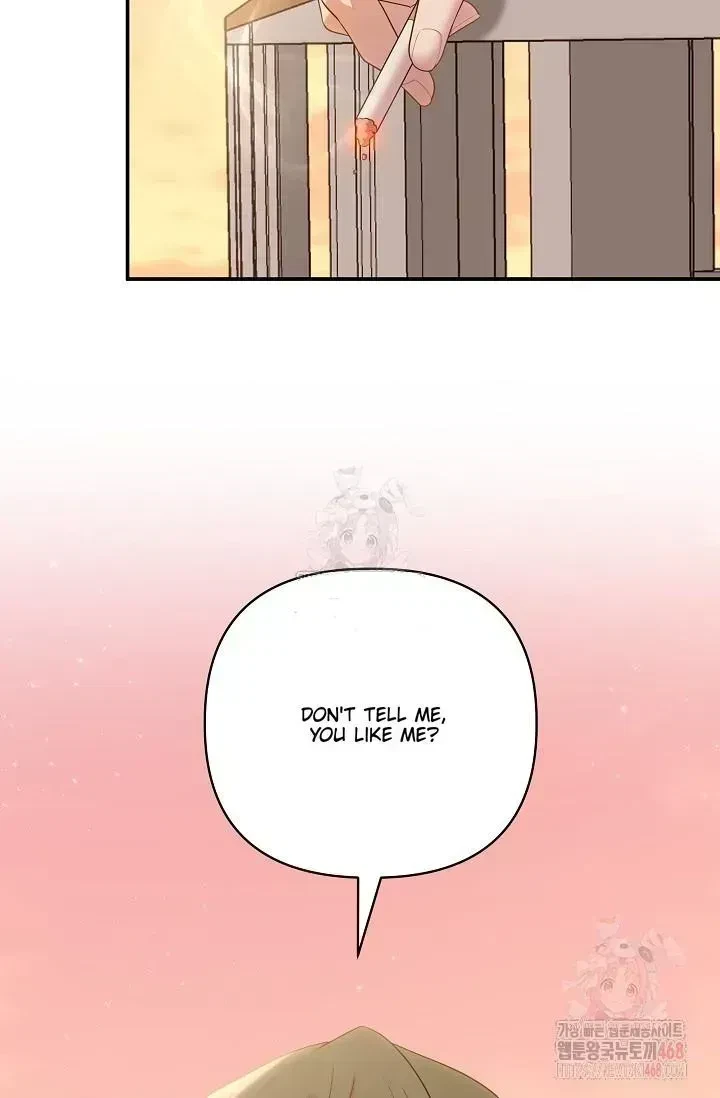 Chapter 1.6, page 85