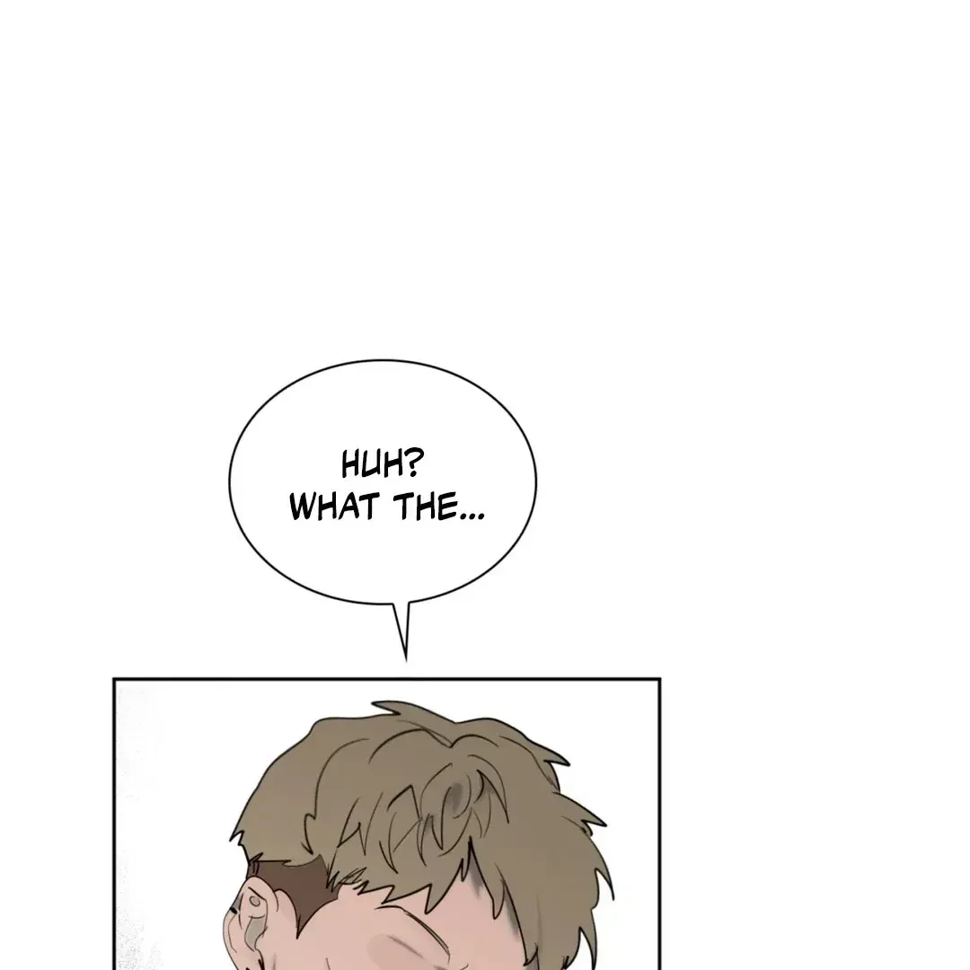 Chapter 1.1, page 20