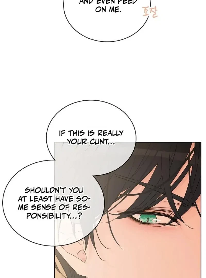 Chapter 3, page 104
