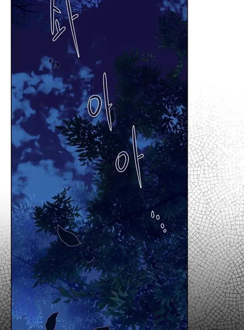 Chapter 3, page 109