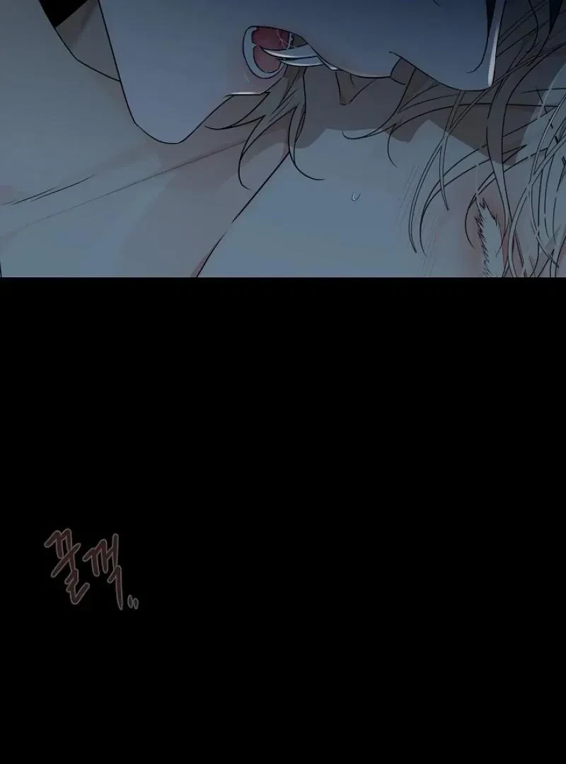 Chapter 3, page 117