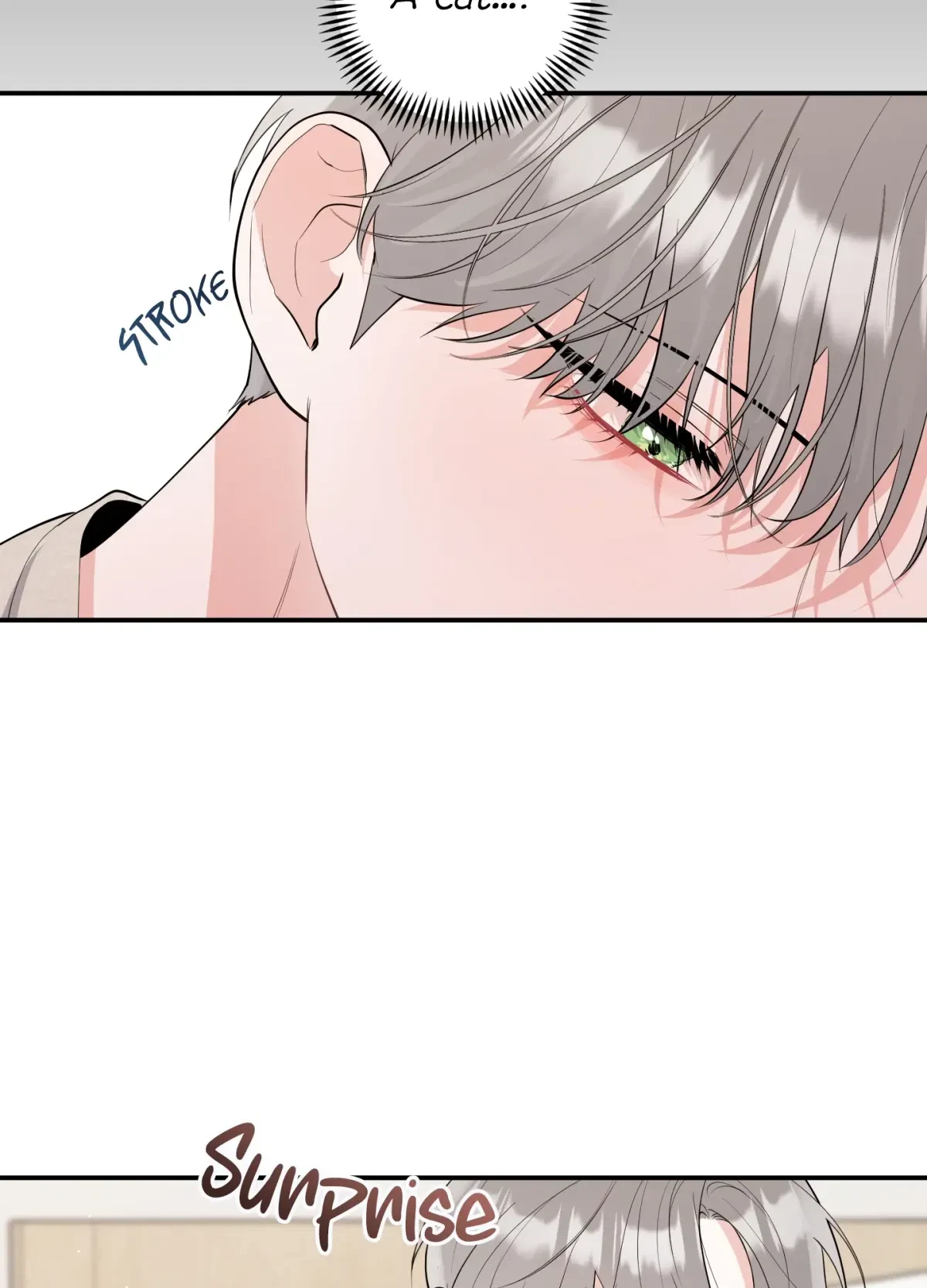 Chapter 3, page 74