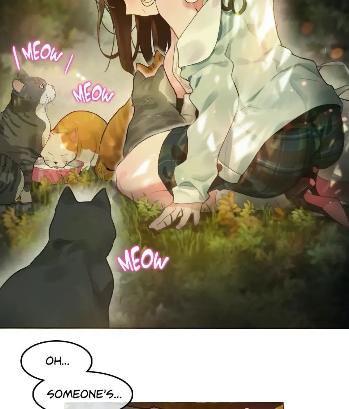 Chapter 1.1, page 13