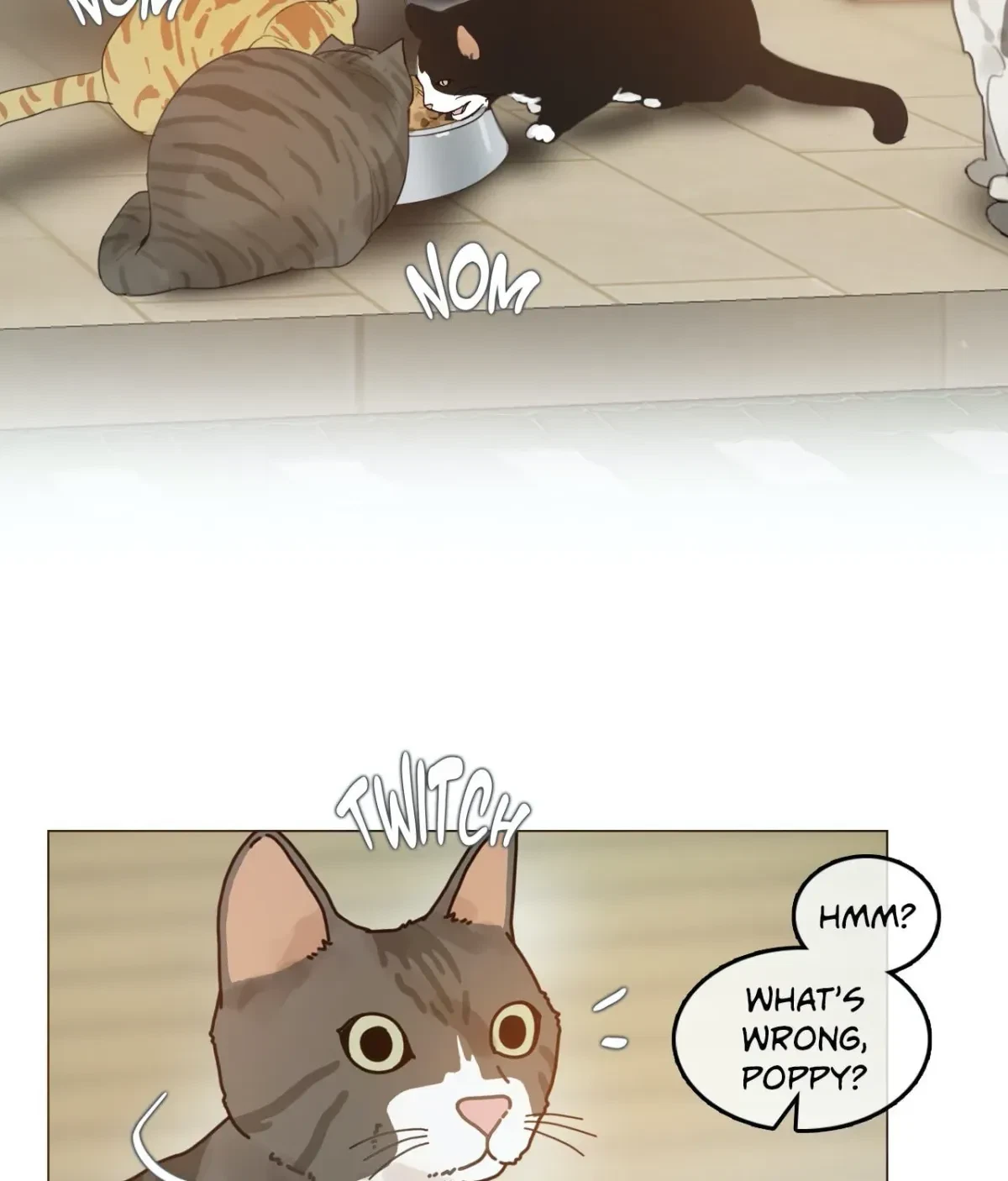Chapter 1.1, page 5