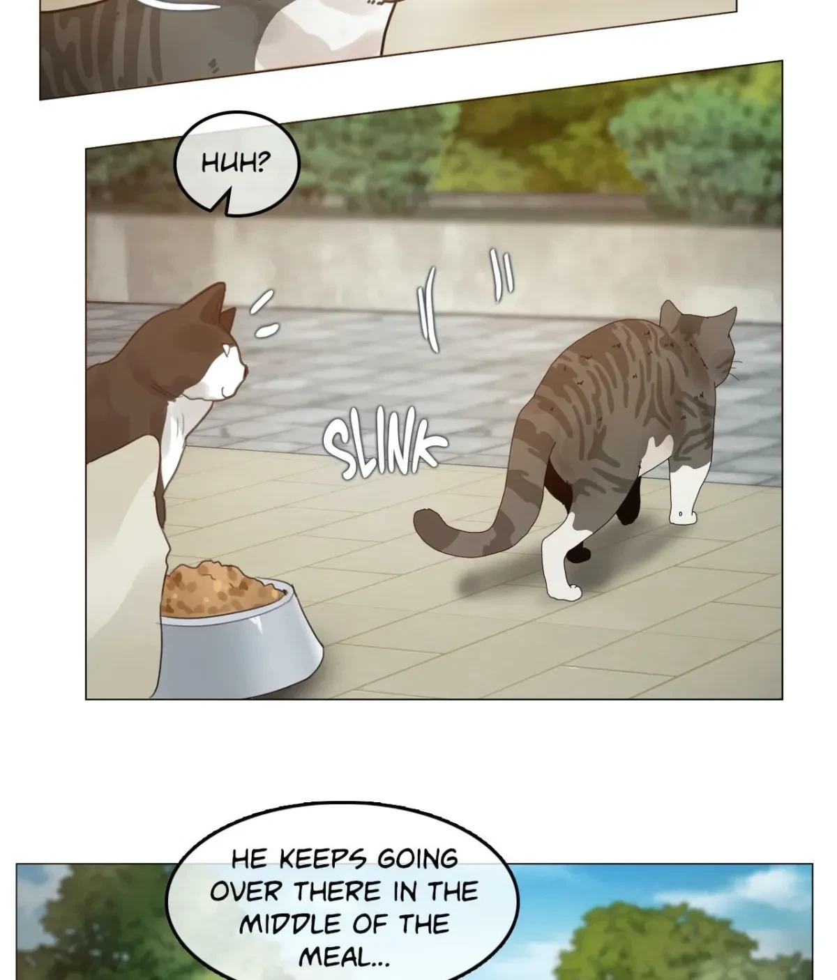 Chapter 1.1, page 6