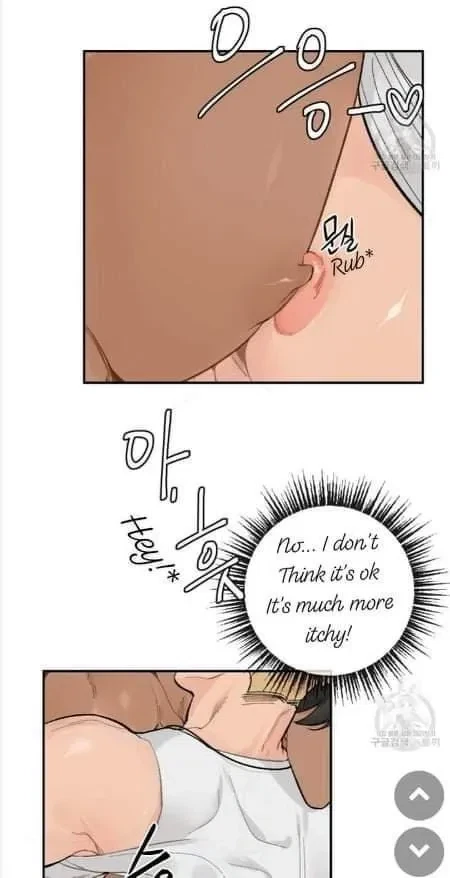 Chapter 4.2, page 23